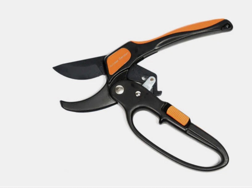 Lot de cisaille et sécateur à crémaillère pro