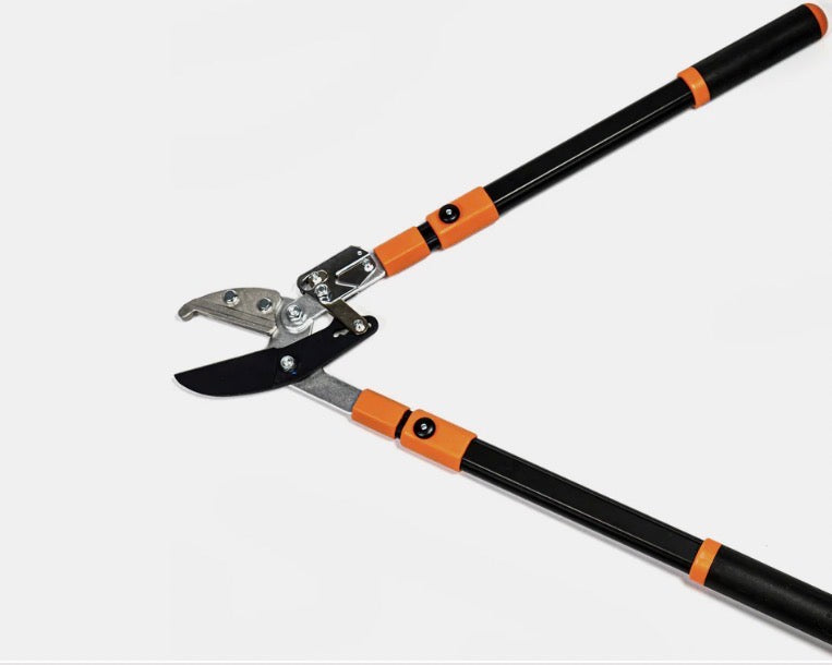 Lot de cisaille et sécateur à crémaillère pro